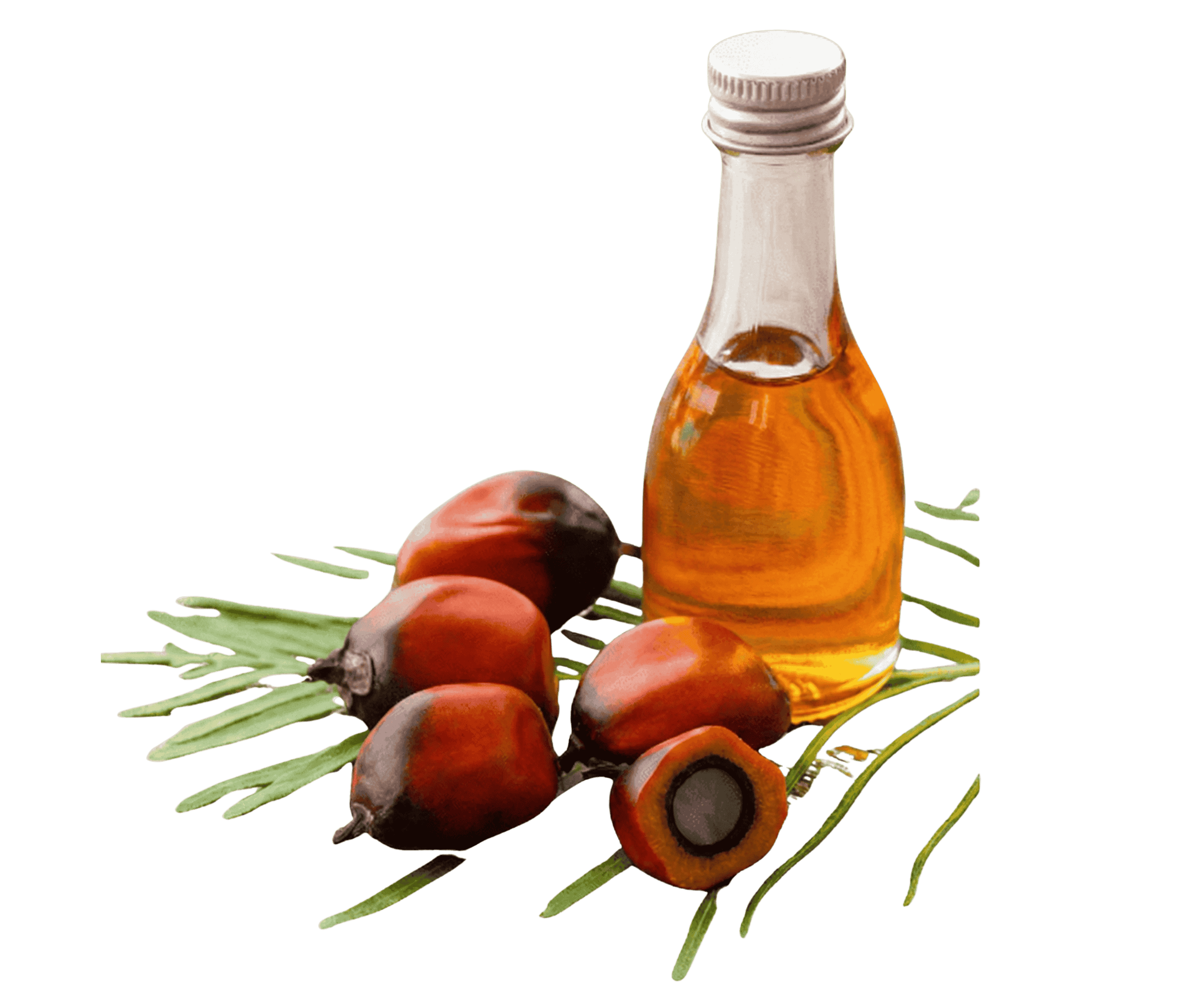 Huile de Palme Non Hydrogénée